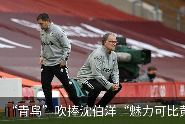 “青鸟”吹捧沈伯洋“魅力可比黄仁勋”，台湾网友傻眼：来看笑话
